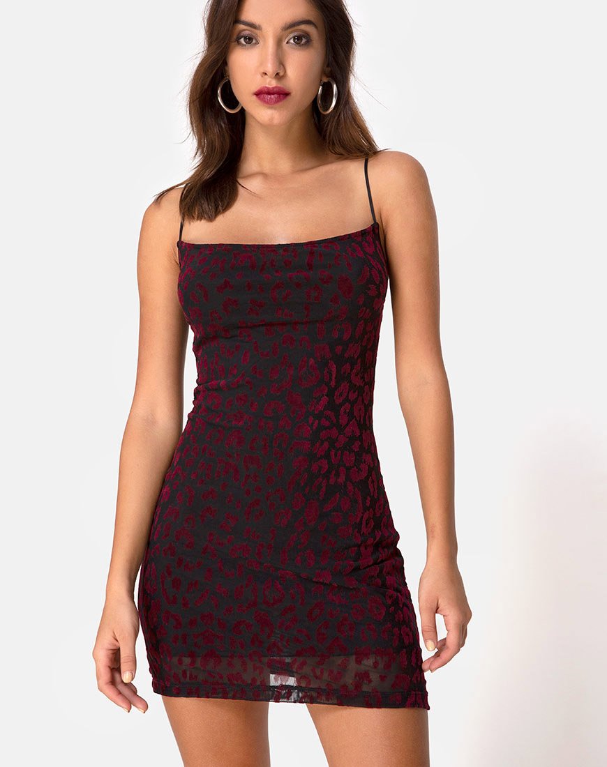 Becky Jurk in Rood Luipaard Net