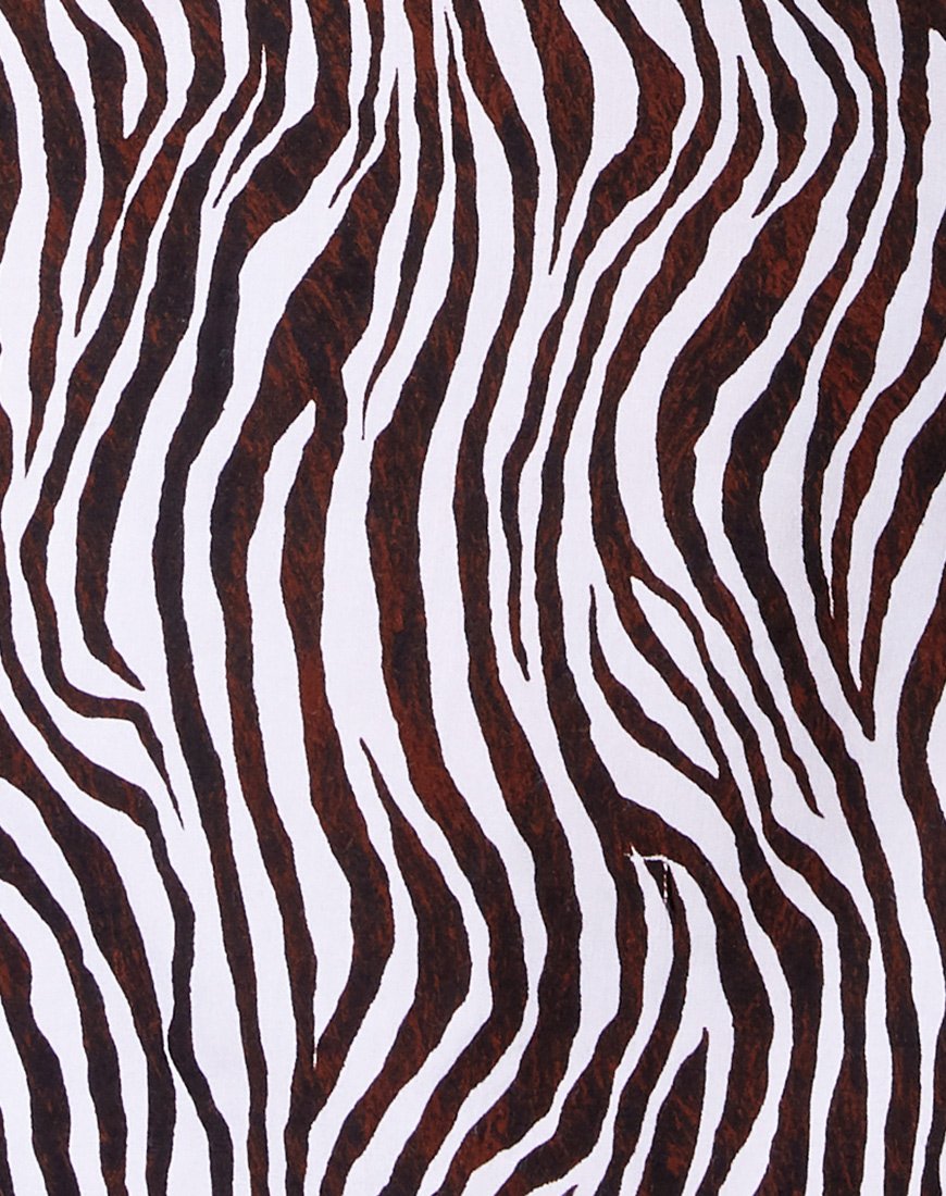 Afbeelding van Datista Jurk in Zebra Verticaal