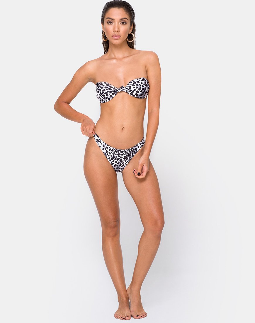 Dita Bikinibroekje in Dalmatiër