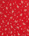 Paisley Fun Rood