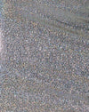 Holografisch Zilver
