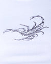 Witte schorpioen
