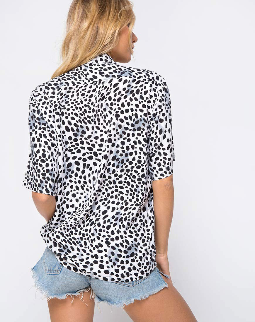 Hawaiaans shirt in dalmatiër