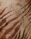 Bruine tijger