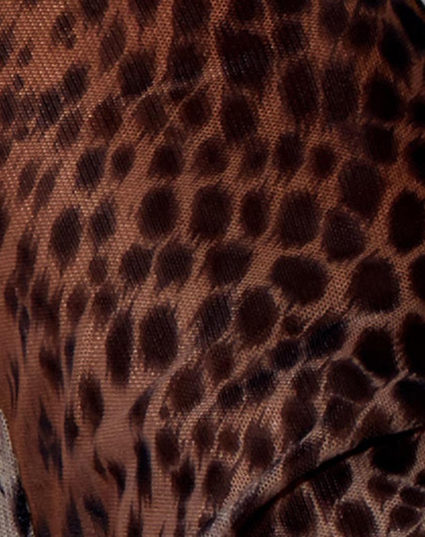 Afbeelding van Herlom Broek in Mesh Kleurverloop Cheetah Bruin