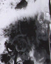 Zwart-wit Mono Tie Dye