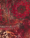 Abstract Paisley Rood