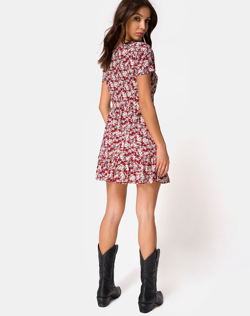 Afbeelding van Laily Skater Dress in Floral Charm Rood