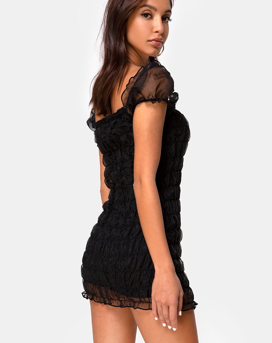 Lenira Jurk in Zwart Organza