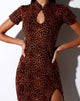 Afbeelding van Marlin Bodycon Jurk in Ditsy Luipaard Oranje