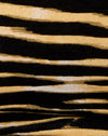 Ritsen Zebra Bruin