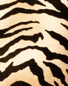 Tijger Goud
