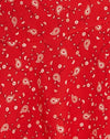 Paisley Fun Rood