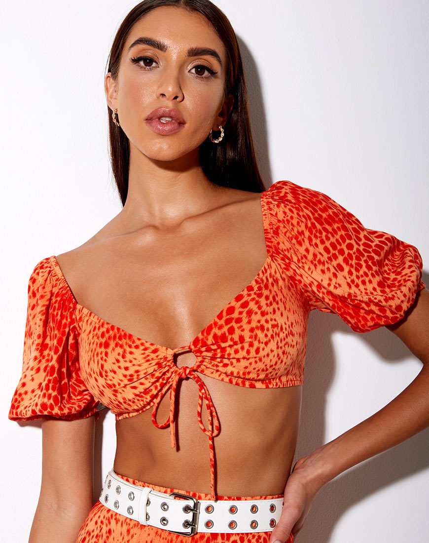 Afbeelding van Chelin Crop Top in Kleurverloop Cheetah Mandarijn