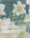 Digibloem