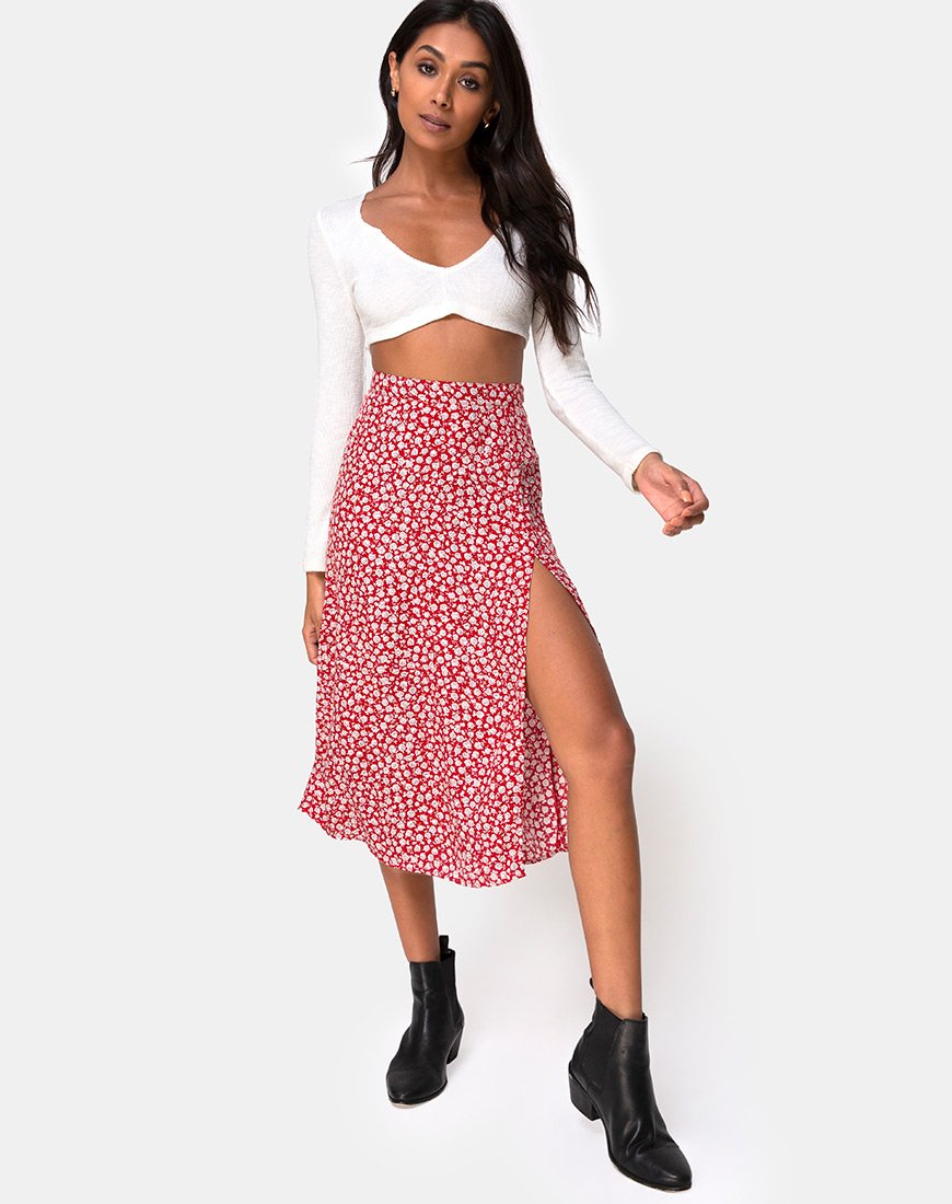 Afbeelding van Saika Rok in Ditsy Rose Rood Zilver