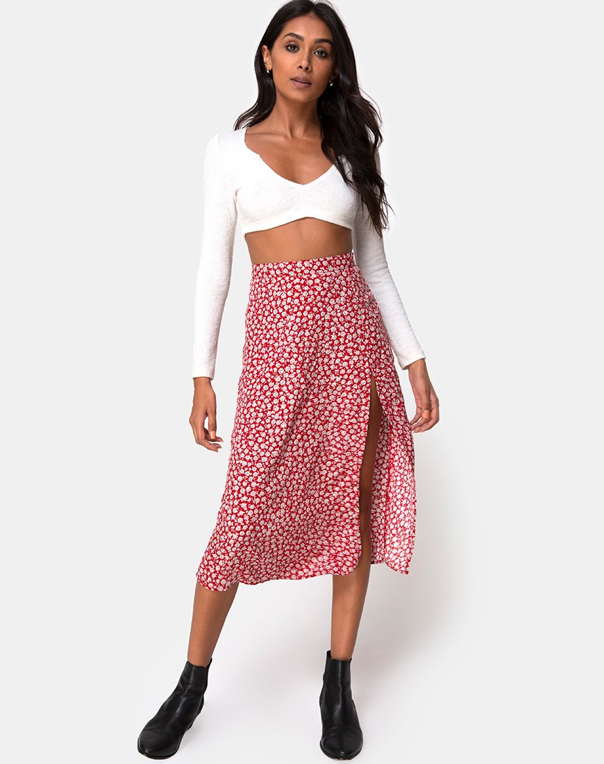 Afbeelding van Saika Rok in Ditsy Rose Rood Zilver