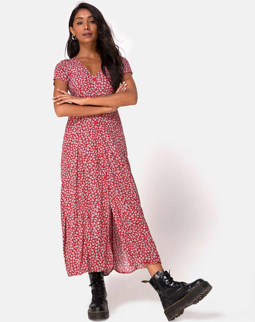 Sanrin Jurk in Ditsy Rose Rood Zilver