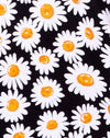 Daisy Love Zwart