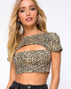Afbeelding van Shim Cutout Crop Top in Rar Leopard