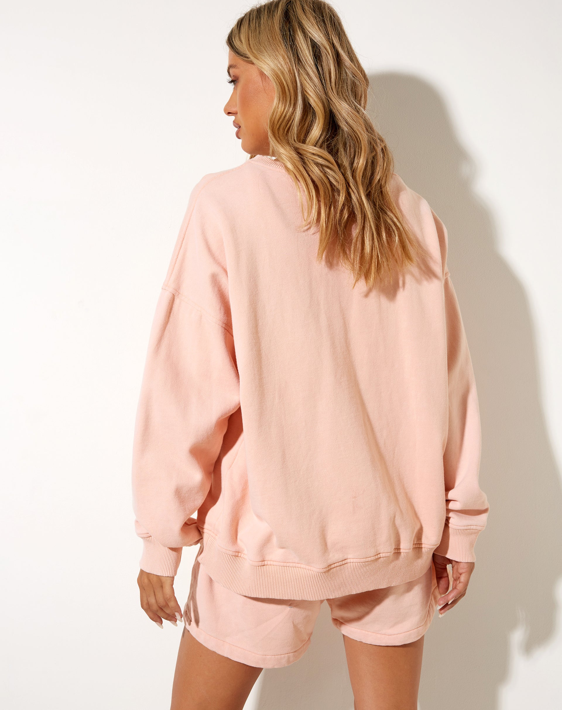 Afbeelding van Ted Sweatshirt in Wash Out Peach Mushroom