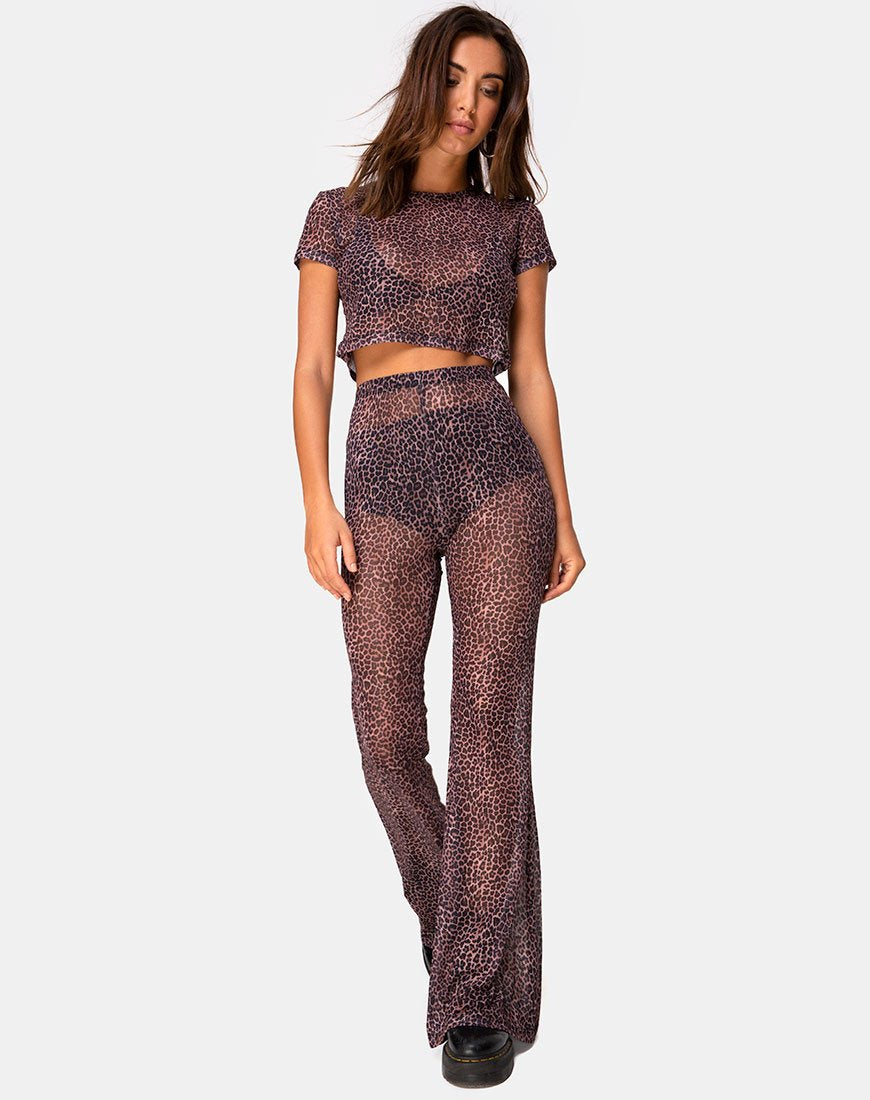 Afbeelding van Herlom Flare Broek in Rar Luipaard Mesh