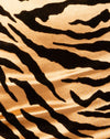 Tijger Goud