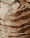  Bruine tijger