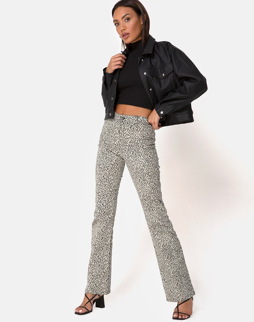 Zoven Broek in Mini Jaguar
