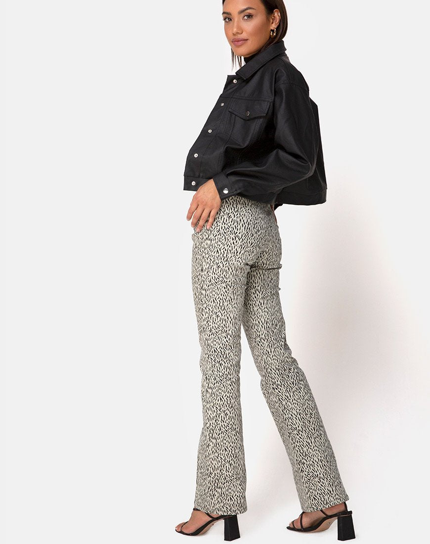 Zoven Broek in Mini Jaguar