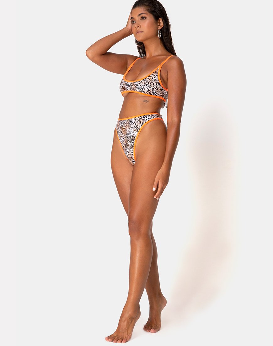 Sikila Bikinibroekje in Mini Tijger met Oranje Banden